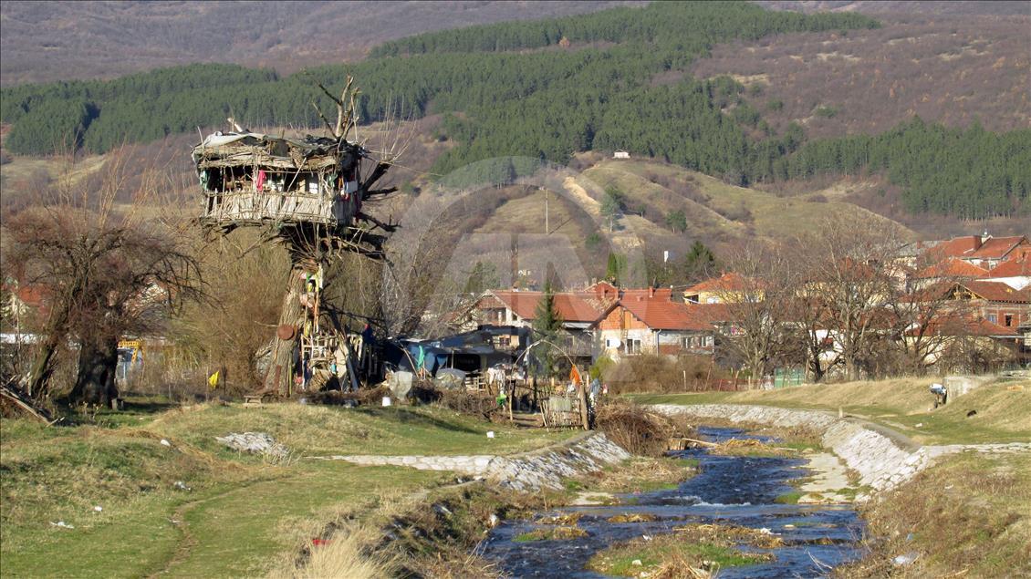 Yazları ağaç üstünde kışları mağarada yaşıyor
