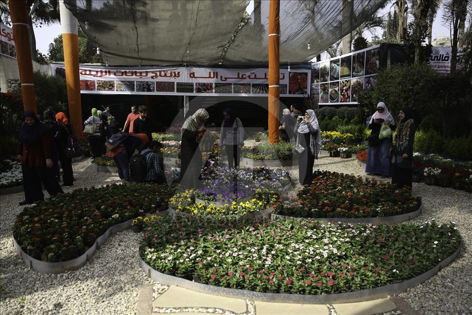 افتتاح بازار گل در مصر