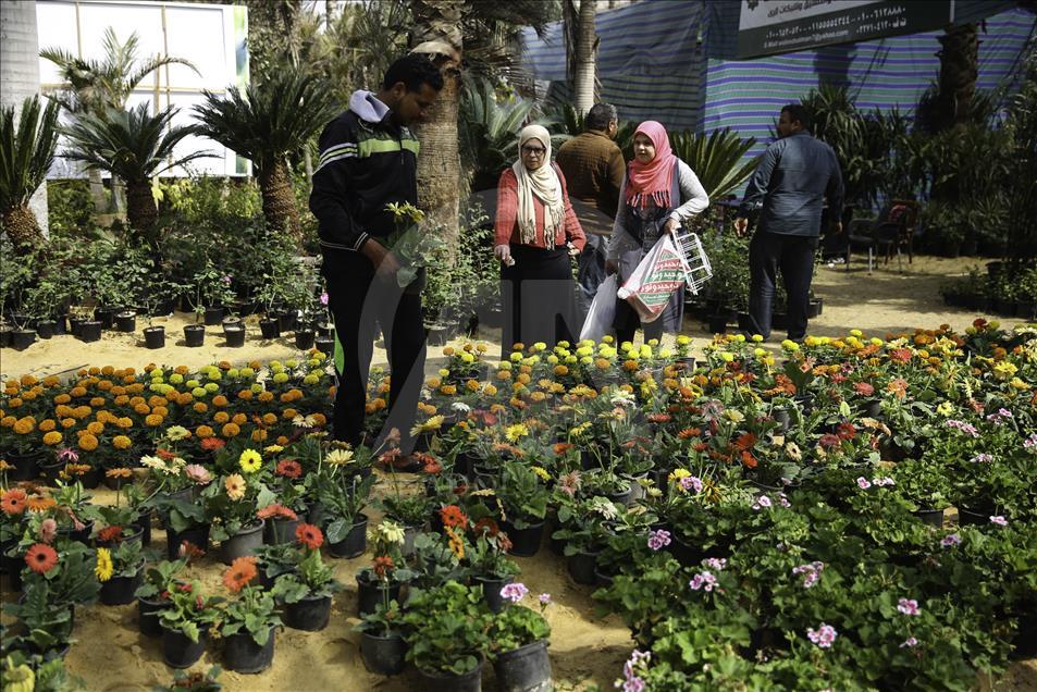 افتتاح بازار گل در مصر