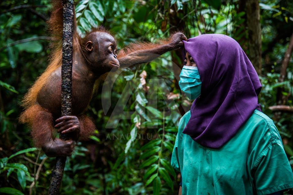 “Istanbul Photo Awards 2017” sahiplerini buldu