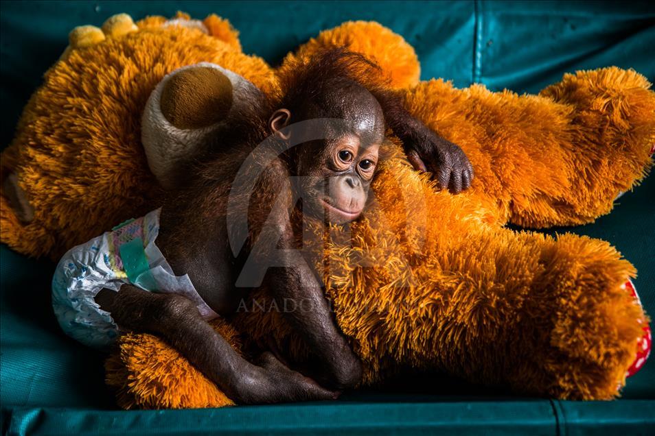 “Istanbul Photo Awards 2017” sahiplerini buldu