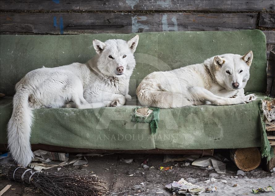 “Istanbul Photo Awards 2017” sahiplerini buldu