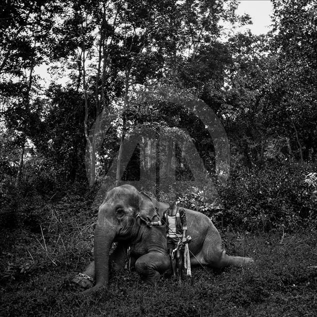 “Istanbul Photo Awards 2017” sahiplerini buldu