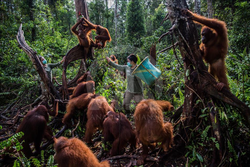 “Istanbul Photo Awards 2017” sahiplerini buldu