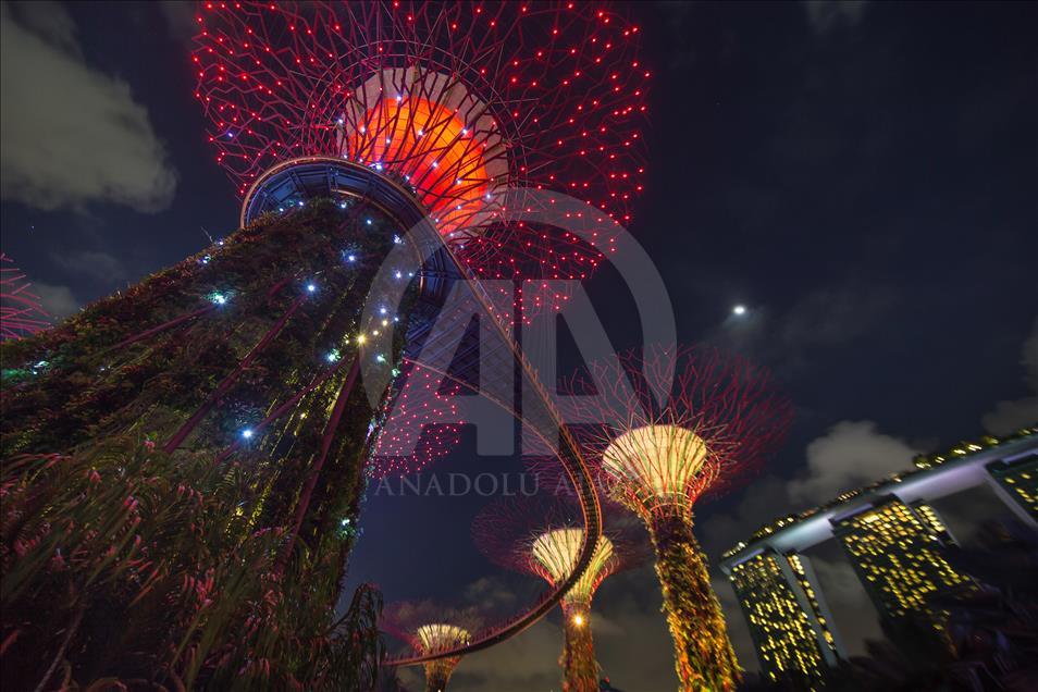 Singapore scenery at night