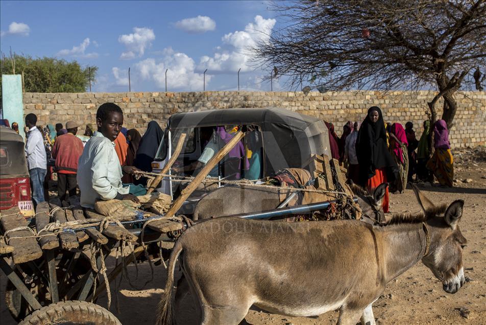 Somali'de yaşam kuraklık tehdidi altında