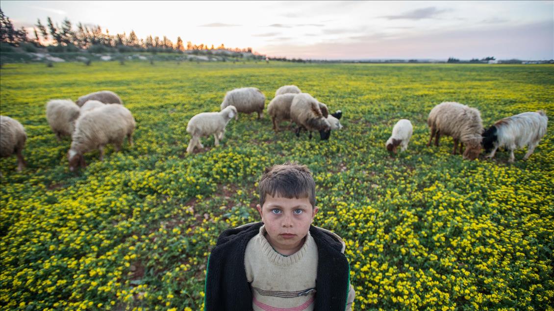 Life returns to normal in Al-Bab