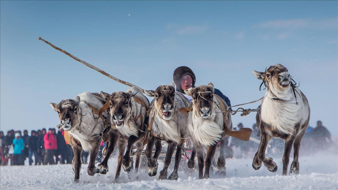 Russia's Nenets celebrate Reindeer Herders' Day
