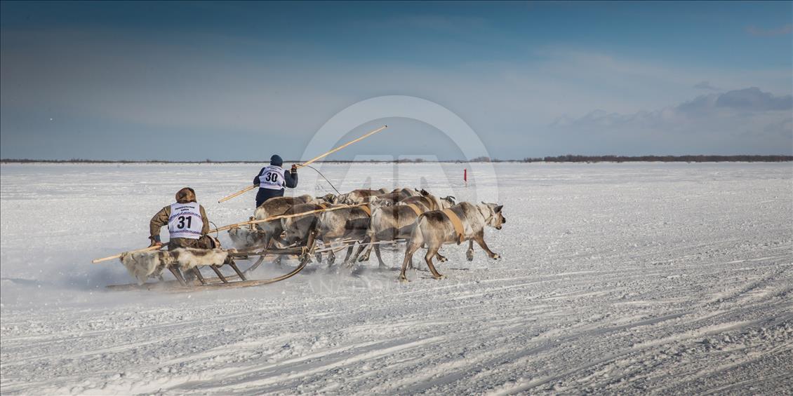 Russia's Nenets celebrate Reindeer Herders' Day