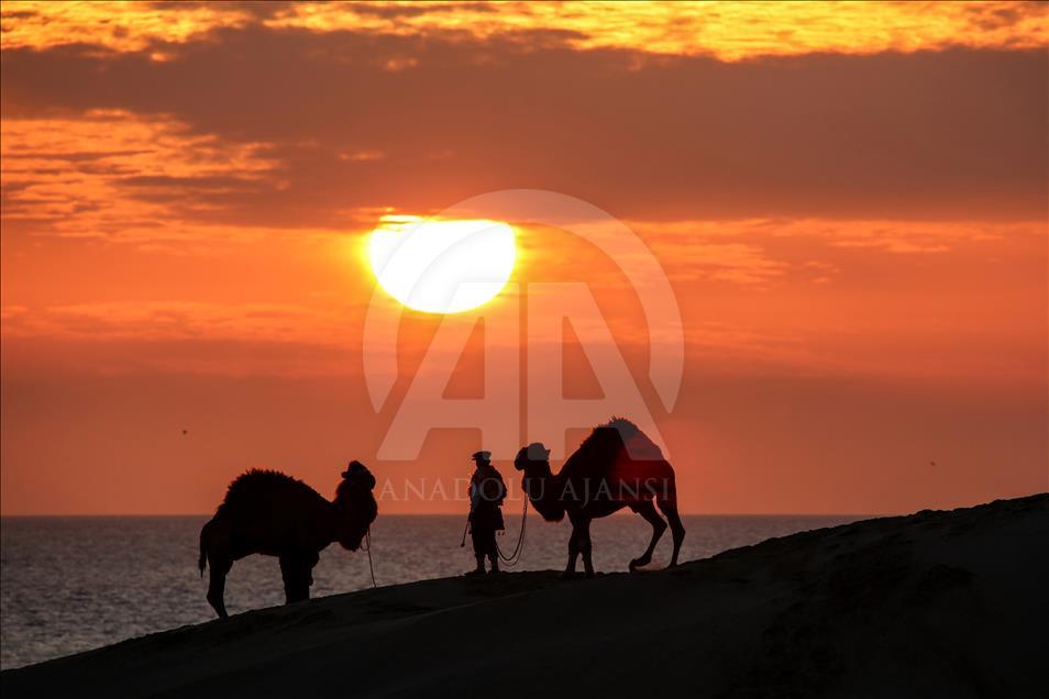 Mısır'ın çölleri değil Antalya'nın Patara'sı