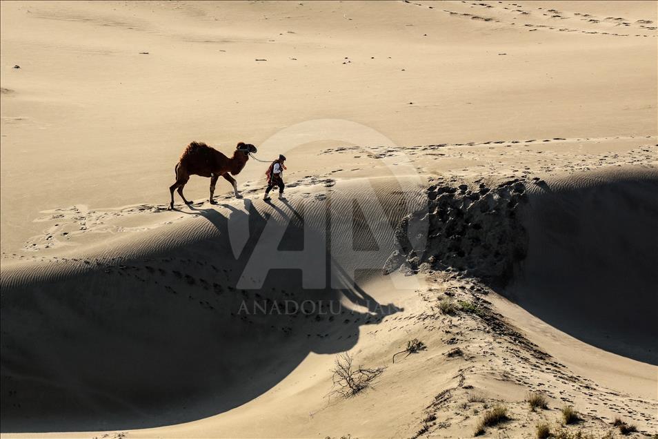 Mısır'ın çölleri değil Antalya'nın Patara'sı