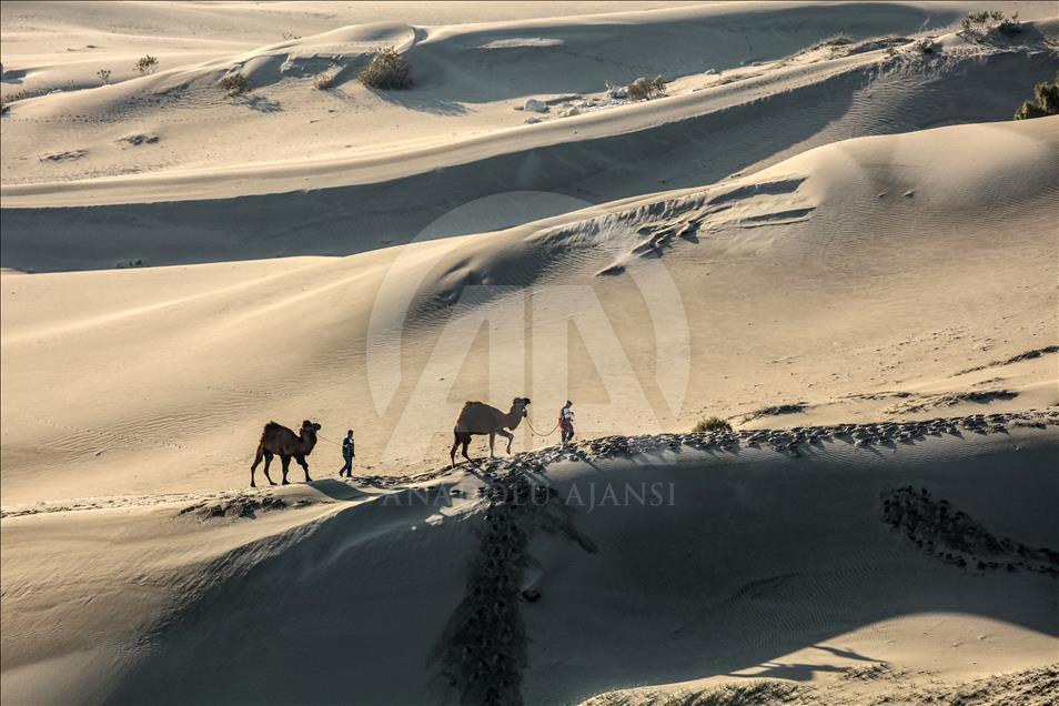 Mısır'ın çölleri değil Antalya'nın Patara'sı