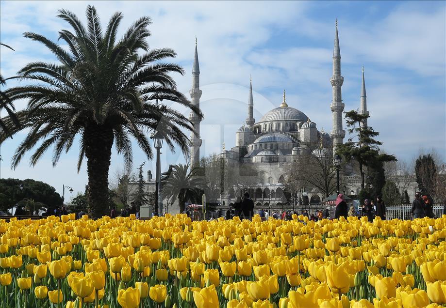 İstanbul'da lale zamanı