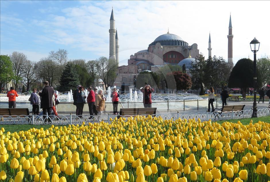 İstanbul'da lale zamanı