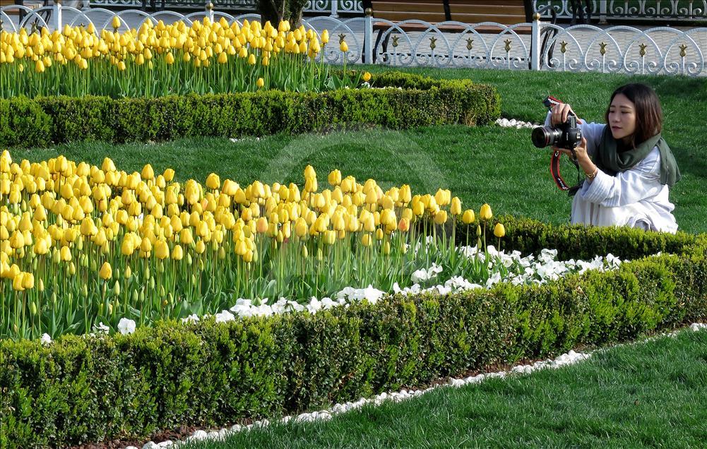 İstanbul'da lale zamanı