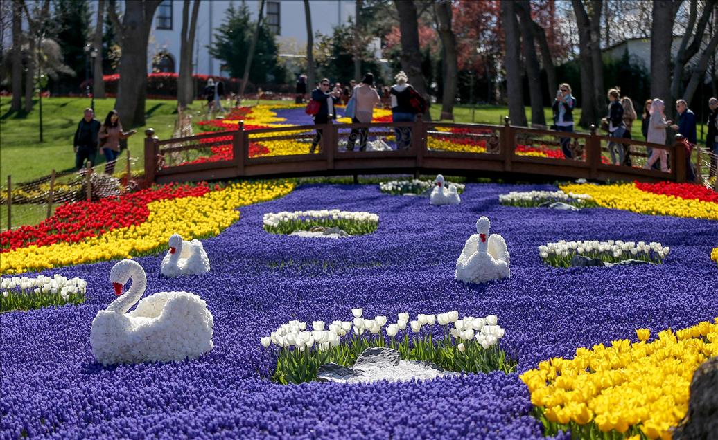 İstanbul'da lale zamanı