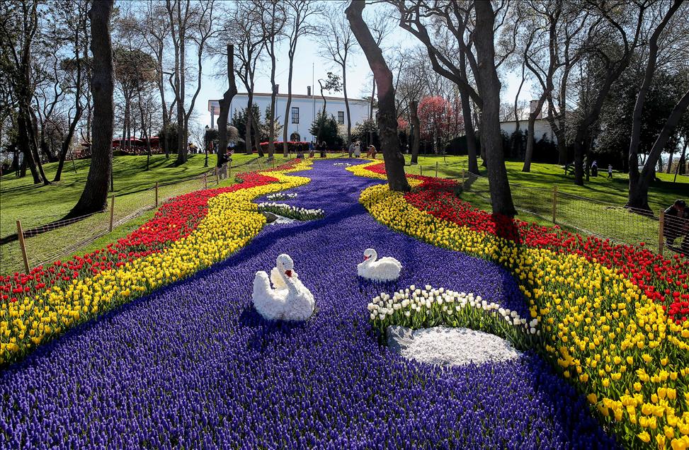 İstanbul'da lale zamanı