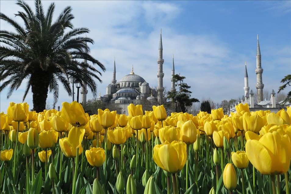 İstanbul'da lale zamanı