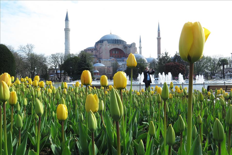 İstanbul'da lale zamanı