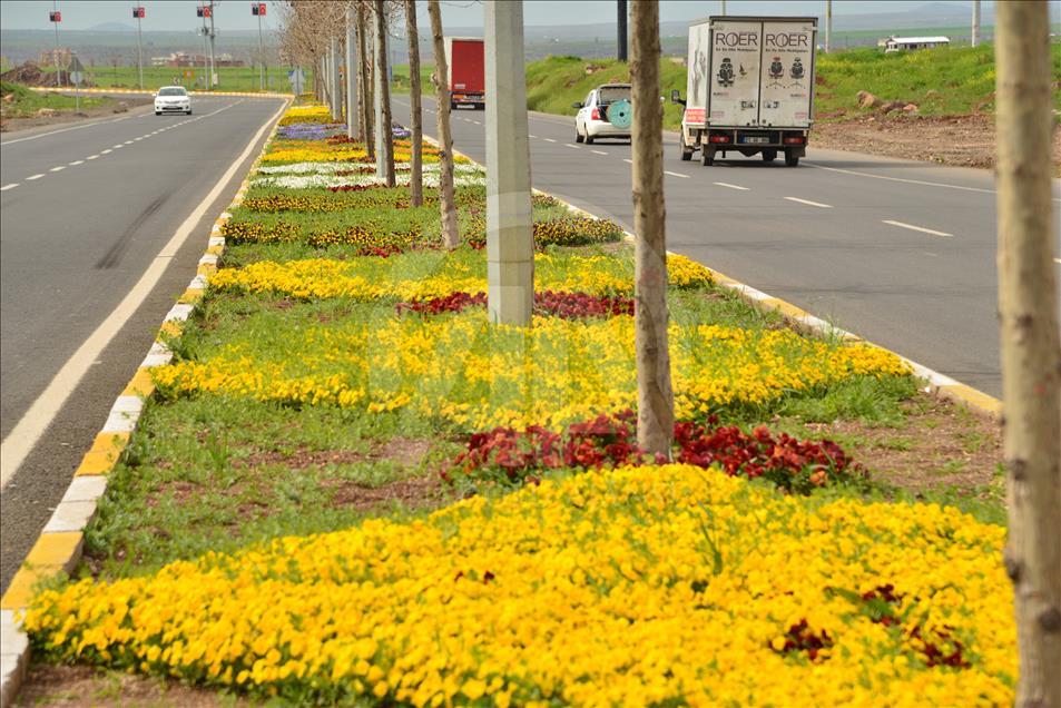 Diyarbakır çiçek bahçesine dönüştü