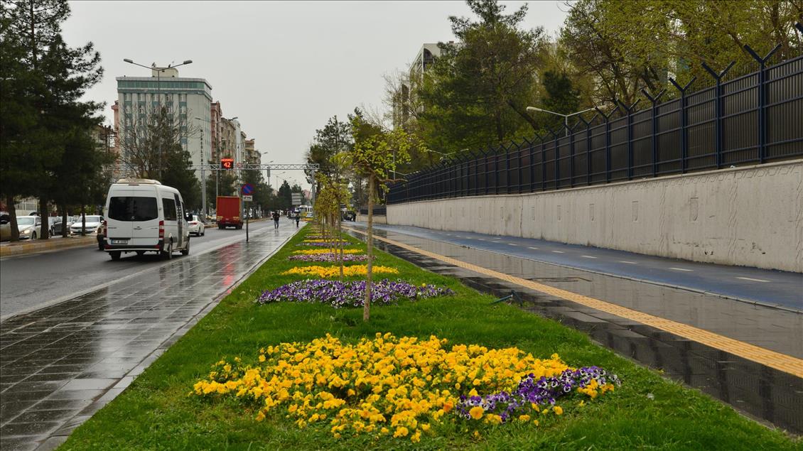 Diyarbakır çiçek bahçesine dönüştü