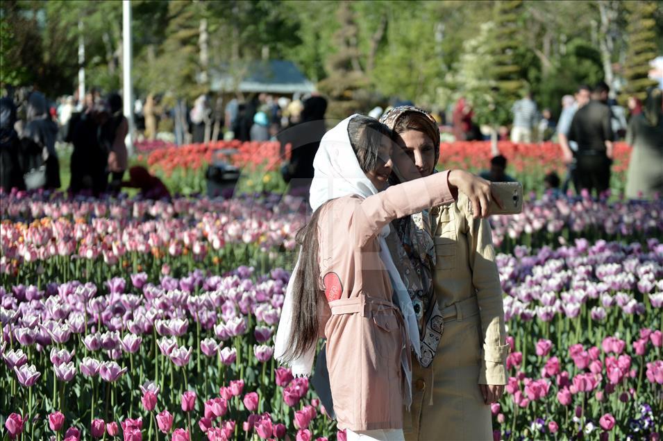 İran’da 5. Karaj Lale Festivali