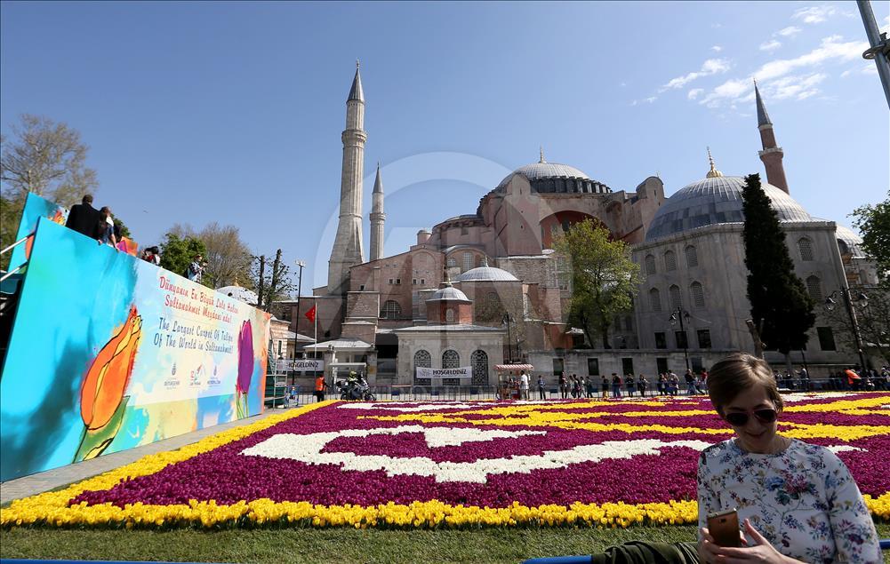 "Tapet me tulipanë" në Xhaminë Blu në Stamboll 
