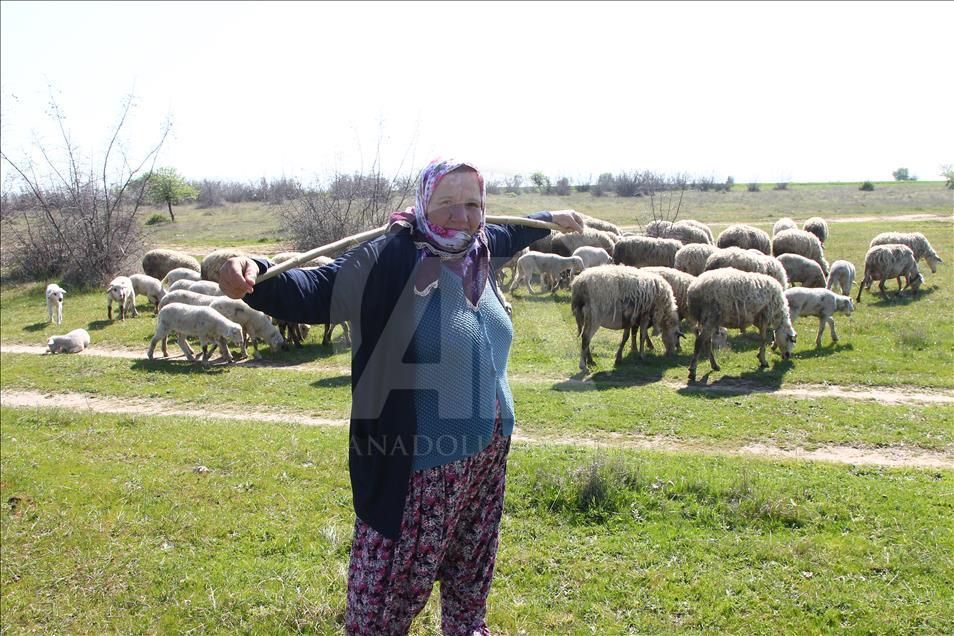 تركيّة مسنة ترعى الأغنام منذ 20 عاما
