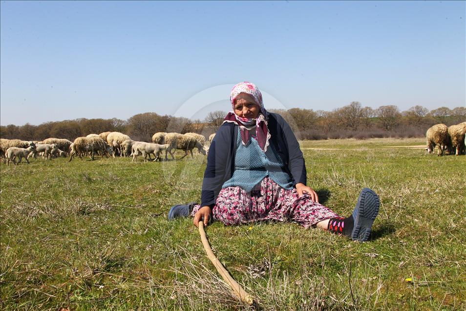 تركيّة مسنة ترعى الأغنام منذ 20 عاما
