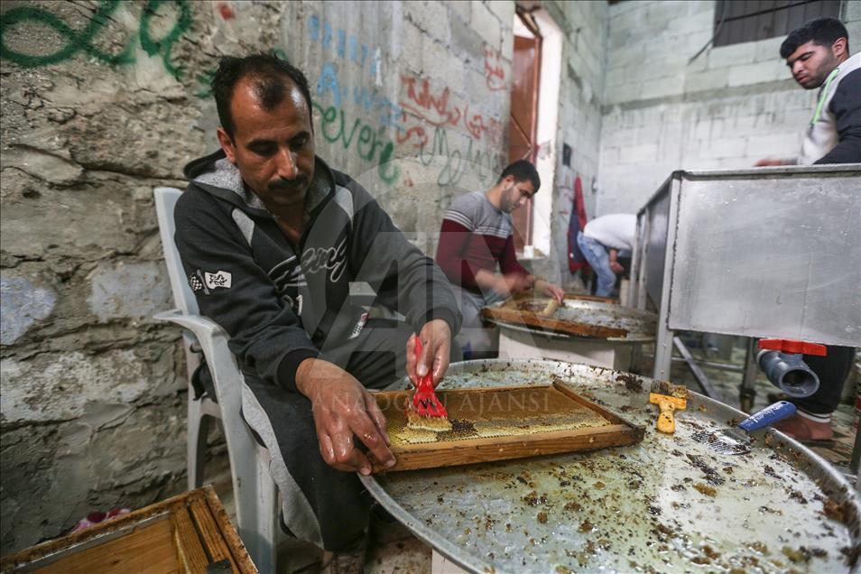 Gazze'de bal hasadı