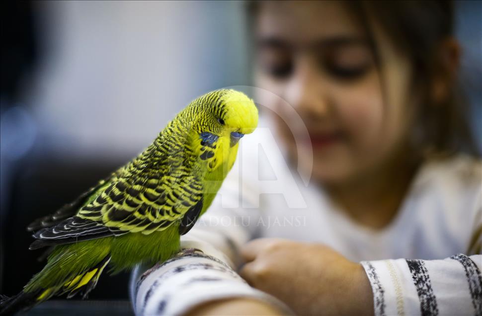 PetZoo Ankara Evcil Hayvan Ürünleri Fuarı açıldı