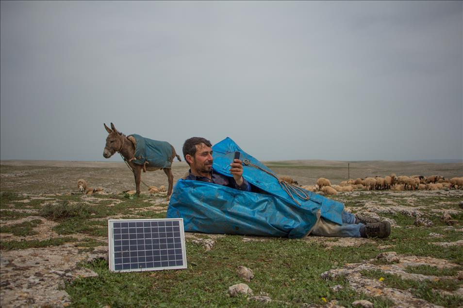 Shepherd uses solar panel to charge his phone