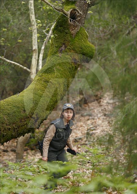Kadın ormancı hayalindeki mesleği yapıyor 