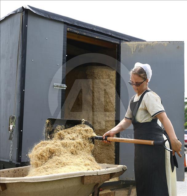 ABD'de inançları gereği kendilerini modern dünyadan ve teknolojiden soyutlayan Amish'ler