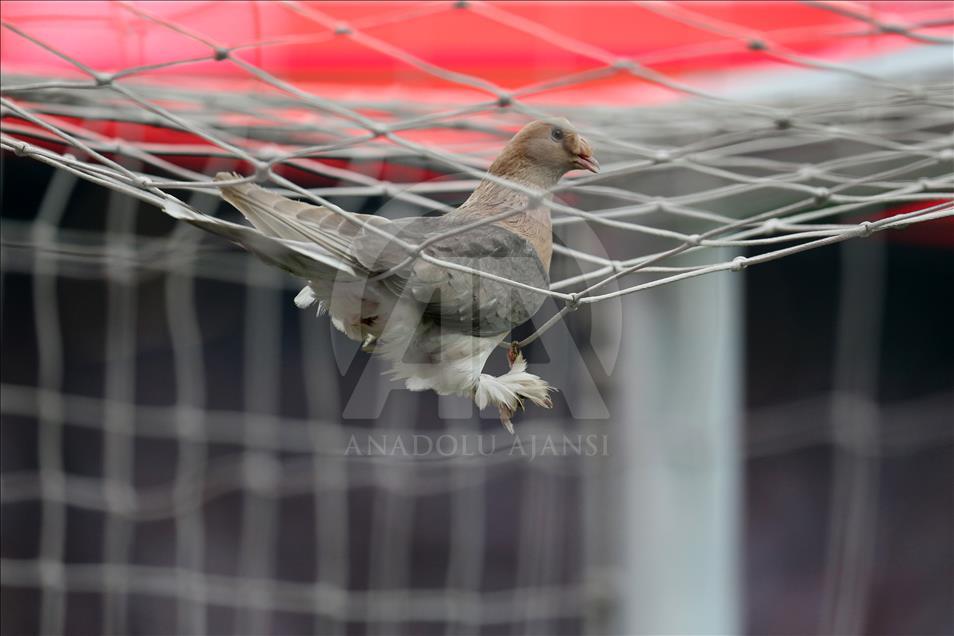 Beşiktaş - Fenerbahçe