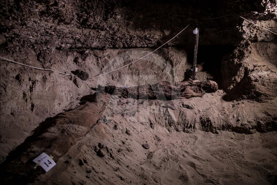 Mısır'da Mumya mezarlığı bulundu