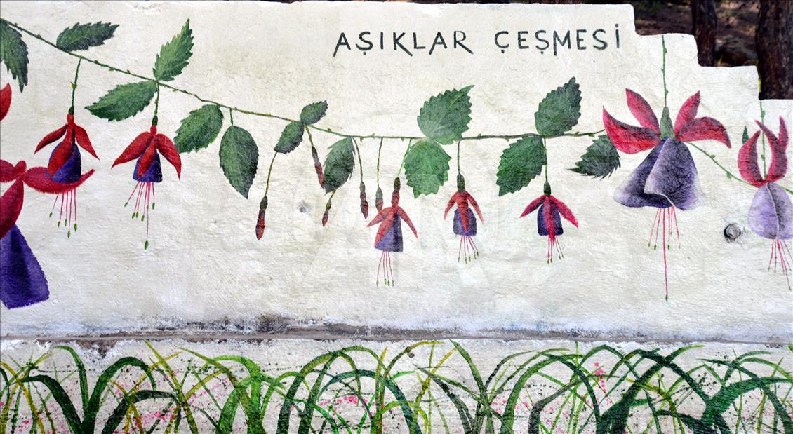 Tasarımla tanışan köyün sokakları çiçek açtı