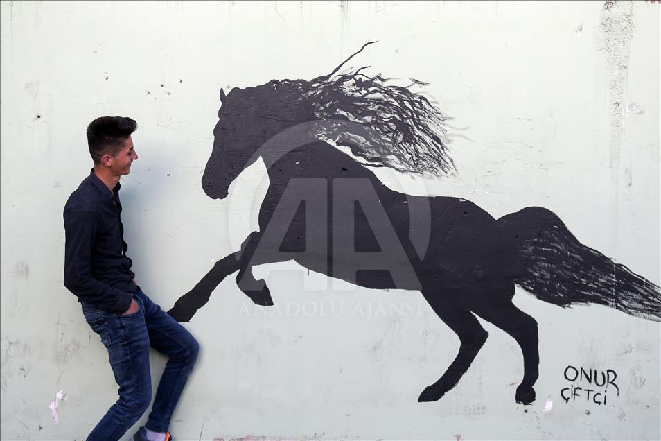 Tarihi ve doğal güzellikler trafo duvarlarına yansıtılıyor