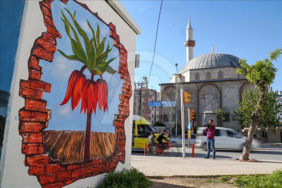 Tarihi ve doğal güzellikler trafo duvarlarına yansıtılıyor