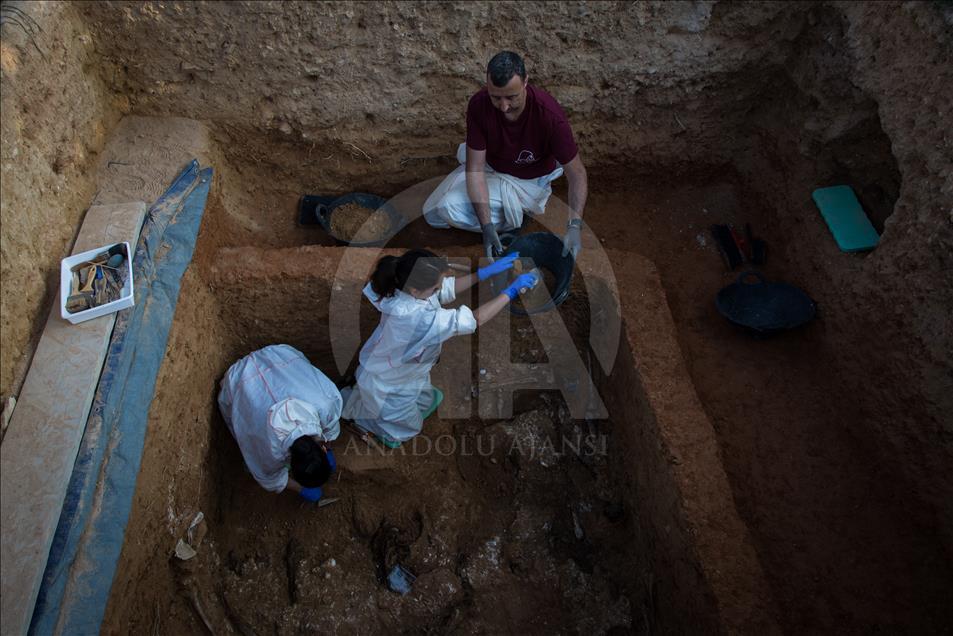 The judge of guard of Paterna, Valencia, judicializes the exhumations of the 113 comon pit after finding 12 bodies of reprisals of the Franco regime. The 12 found bodies would belong to a total of 60 shot on January 18th of 1940.