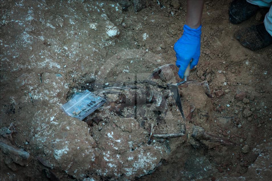 Largest Franco-era mass grave exhumed in Valencia, Spain