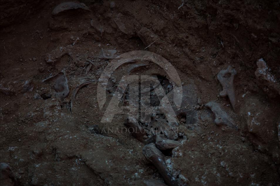 Largest Franco-era mass grave exhumed in Valencia, Spain