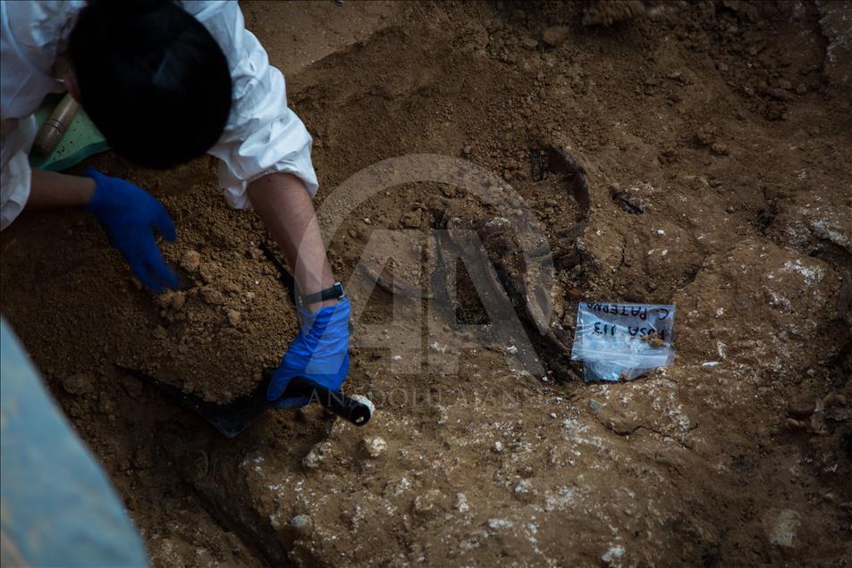 Largest Franco-era mass grave exhumed in Valencia, Spain  