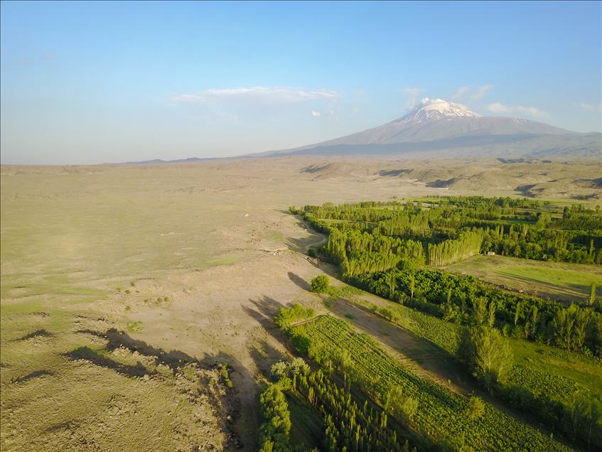 'Garden of Eden' greens arid slopes of Turkey's Mount Ararat
