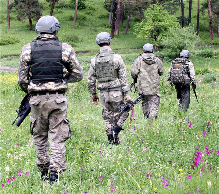 Erzurum'da terör operasyonu