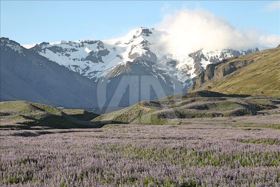 Prirodne ljepote Islanda