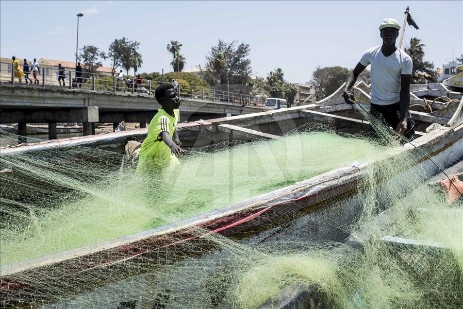 Senegal'de bir Fransız kenti; Saint-Louis