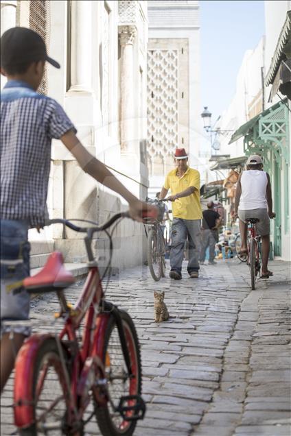 La médina de Tunis ....un après-midi de Ramadan avant la rupture du jeûne