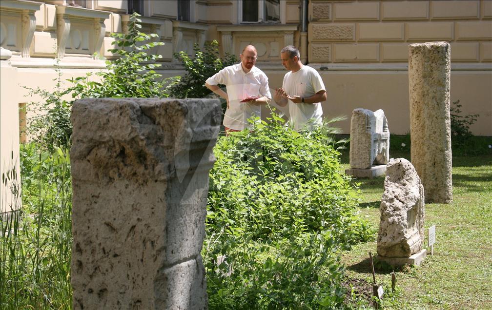 Novi Sad: U dvorištu Muzeja Vojvodine niče bašta sa praistorijskim biljkama 