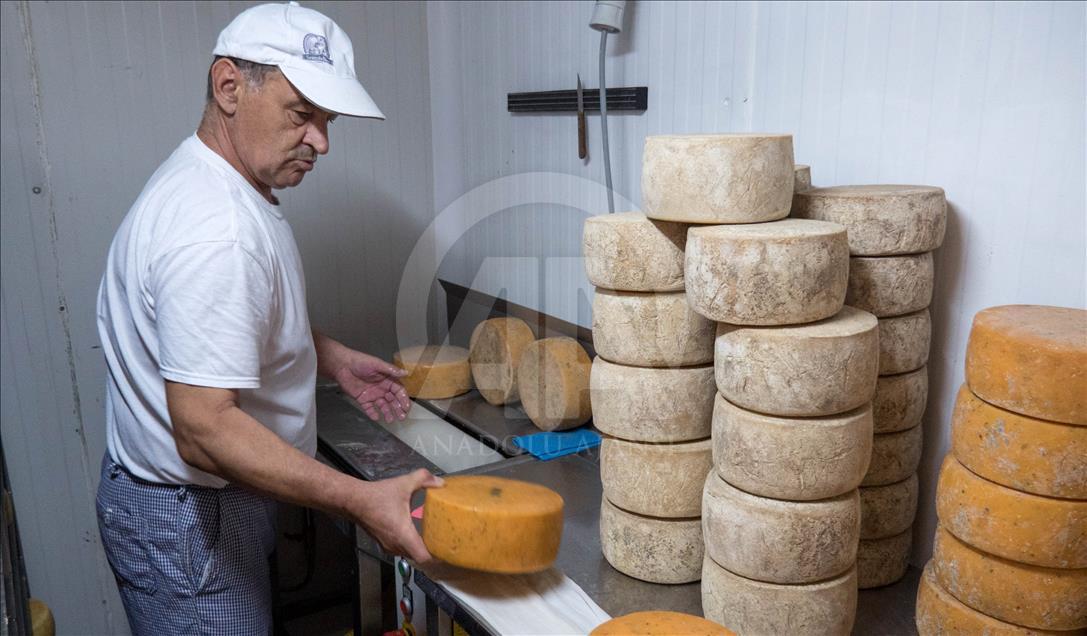 Dokaz u mogući uspjeh u BiH: U Livnu proizvode najbolji sir na Balkanu